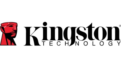 Picture for manufacturer Kingston